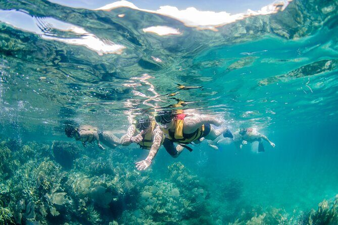 Snorkeling and Speed Boat Tour - FAQs