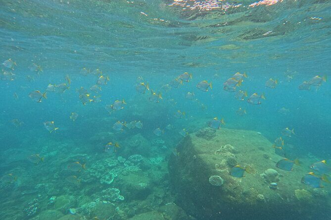 Snorkeling at Angel Rock - Discovering Angel Rock: What to Expect on the Tour