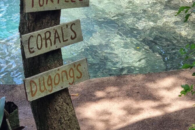 Snorkeling at Top Rock with Yumi Tours - The Experience in Practice