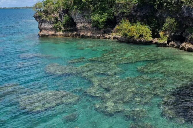 Snorkeling at Top Rock with Yumi Tours - Who Would Enjoy This Tour?
