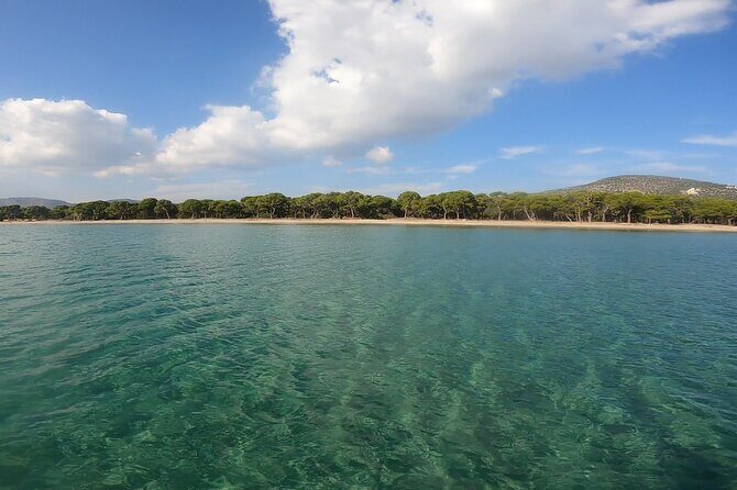 Snorkeling Boat Excursions in Nea Makri, Athens - Authentic Experiences: What Reviewers Say