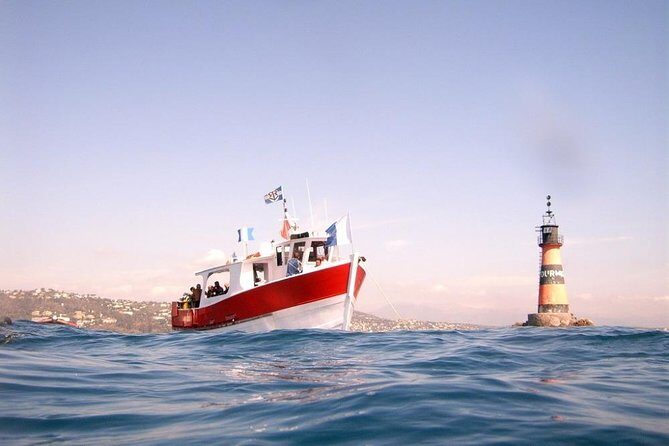 Snorkeling - By boat on site in the Bay of Cannes or Estérel - The Sum Up