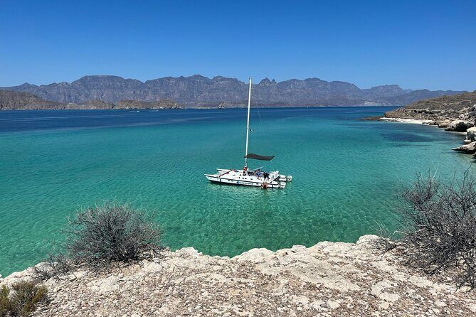 Snorkeling Catamaran Island Cruise - An Authentic Loreto Catamaran Experience: Snorkeling and Wildlife in the Sea of Cortez