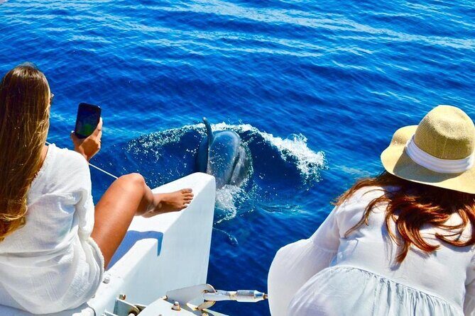 Snorkeling Catamaran Tour at Santa Maria Bay - A Detailed Look at This Cabo Snorkeling Experience