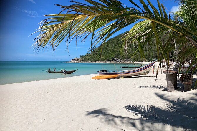 Snorkeling Day around Koh Phangan - Who This Tour Is Best For