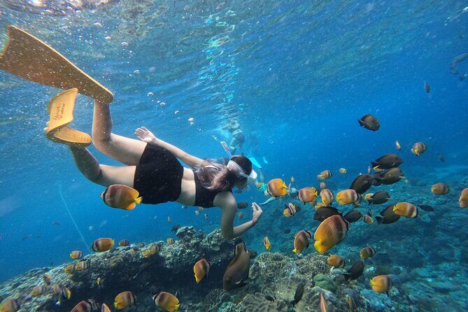 Snorkeling Day Trip To Lembongan and Penida - Key Points