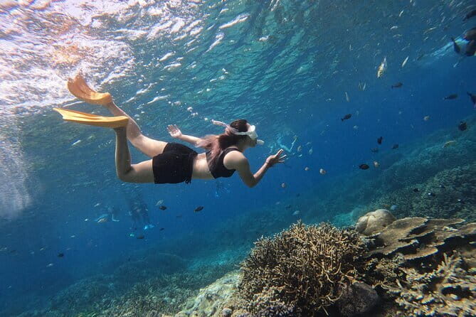 Snorkeling Day Trip to Nusa Lembongan and Nusa Penida - Key Points