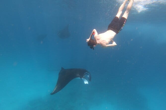 Snorkeling Day Trip to Nusa Lembongan and Nusa Penida - FAQs about the Snorkeling Day Trip