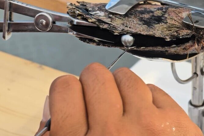 Snorkeling Discovery DE the Black Pearl and Lunch in Bora Bora - Key Points