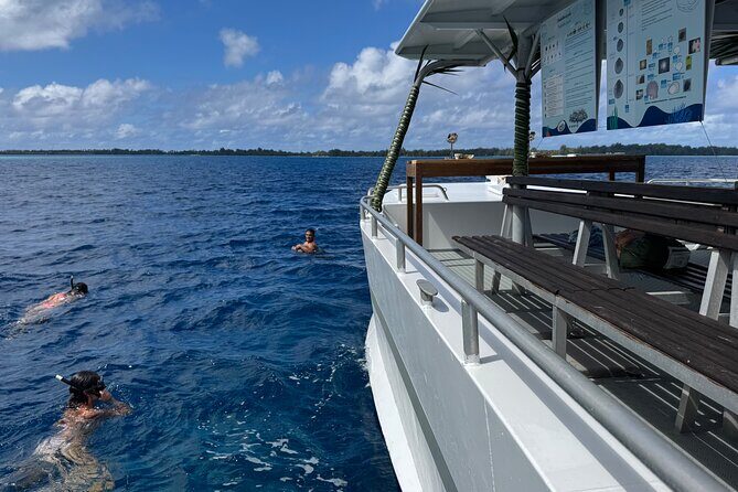 Snorkeling Discovery DE the Black Pearl and Lunch in Bora Bora - FAQ