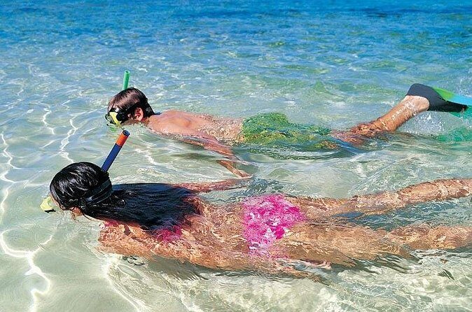 Snorkeling Discovery sailing in Los Cabos - Who Should Consider This Tour?