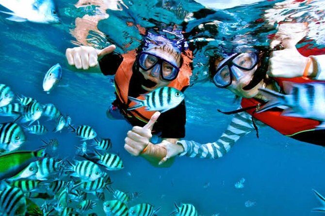 Snorkeling Experience At Blue Lagoon Bali With Lunch And Transfers - Exploring the Day: What You Can Expect