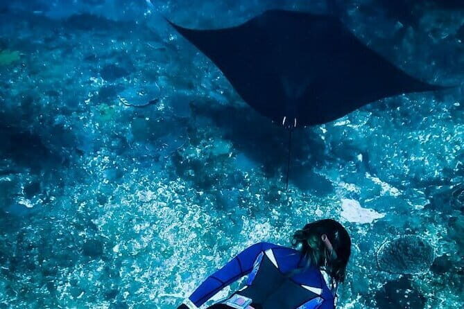 Snorkeling Experience in Nusa Penida with 4 Snorkeling Spots - Is It Worth the Price?