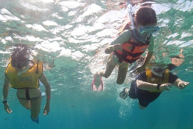 Snorkeling Experience in Underwater Museum with Transportation from Cancún - Final Thoughts