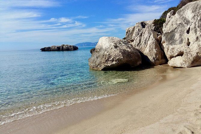 Snorkeling Experience to discover the dolphin inside you! - An In-Depth Look at the Sardinian Snorkeling Tour