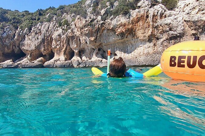 Snorkeling Experience to discover the dolphin inside you! - The Sum Up