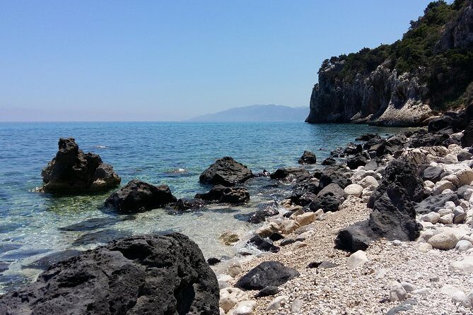 Snorkeling Experience to discover the dolphin inside you! - FAQs