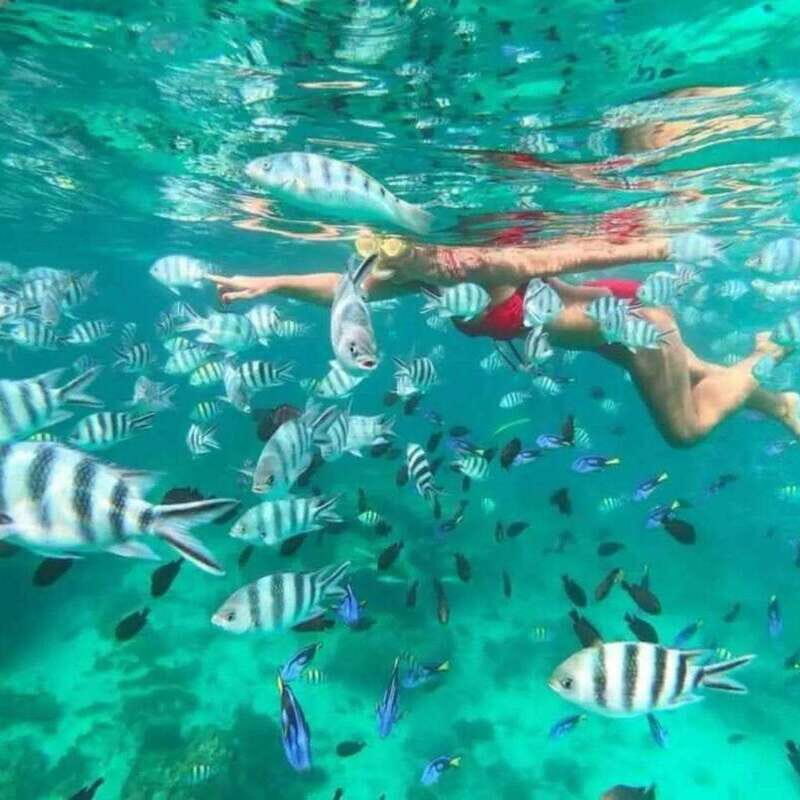 Snorkeling Express Puerto Morelos - Engaging Introduction