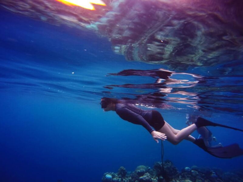 Snorkeling for beginners in crystal clear sea of Halkidiki - Why This Tour is Worth Considering