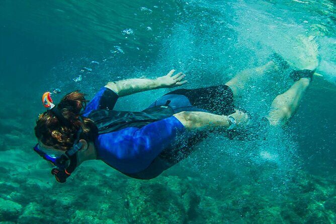 Snorkeling from Negombo - Key Points