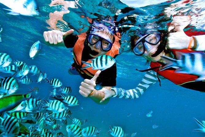 Snorkeling from Negombo - The Sum Up