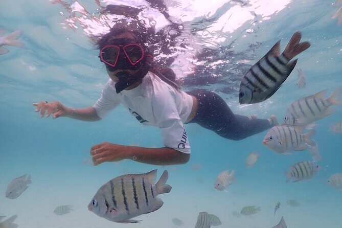Snorkeling Full Day Experience from Bangkok - An In-Depth Look at the Snorkeling Full Day Experience