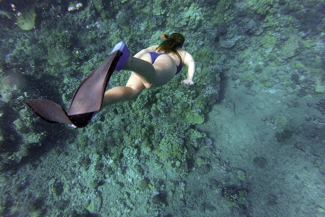 Snorkeling Fun Adventure in Athenian Riviera - An In-Depth Look at the Athenian Riviera Snorkeling Experience