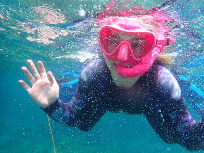 Snorkeling guided tours for tha all family! - Authentic Insights from Reviews