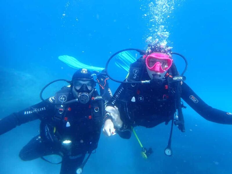 Snorkeling guided tours for tha all family! - Additional Considerations