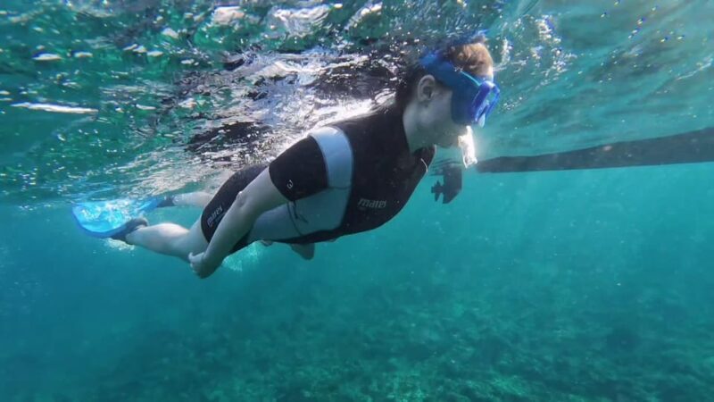 Snorkeling in a Volcanic Bay - FAQ