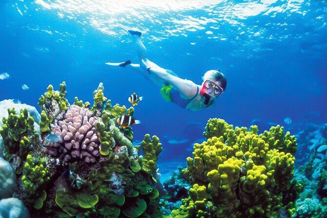 Snorkeling in Coral Island, Trincomalee - What Can You Expect from This Coral Island Snorkeling Tour?