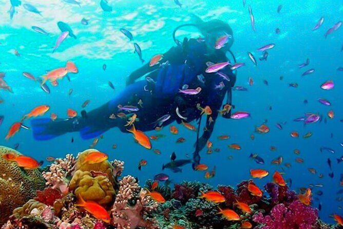 Snorkeling in Coral Island, Trincomalee - Practical Details and Logistics