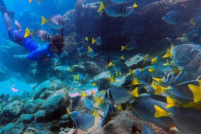 Snorkeling in Marietas Islands and BBQ in Playa Majahuitas - FAQs