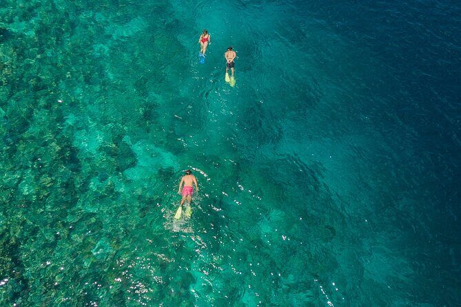 Snorkeling in Menjangan Island with Pickup and Lunch - An In-Depth Look at the Menjangan Island Snorkeling Trip