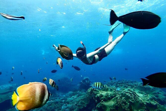 Snorkeling In Nusa Penida And Uluwatu Sunset Tours - Exploring the Itinerary in Detail