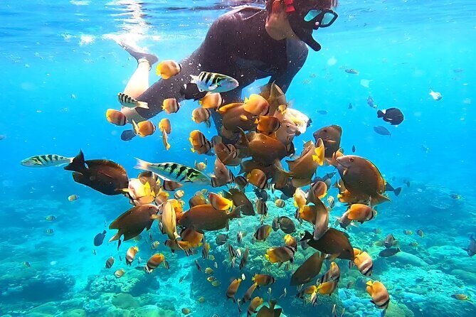 Snorkeling In Nusa Penida Departing From Bali Island - The Sum Up