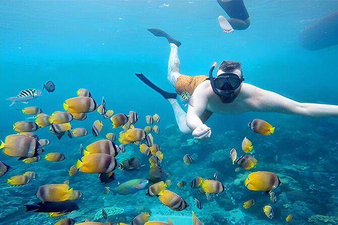 Snorkeling in Nusa Penida - Manta Bay, Wall Point and Gamat Bay - How the Itinerary Unfolds