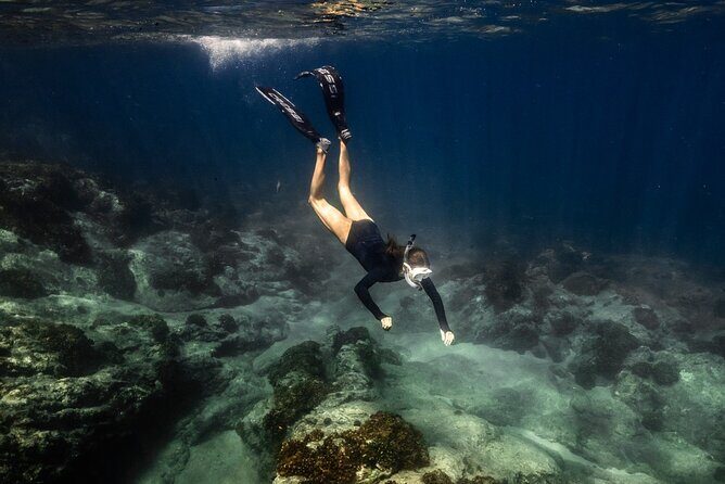 Snorkeling in San Jose del Cabo - Why Travelers Should Consider This Tour