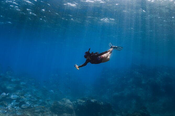Snorkeling in San Jose del Cabo - Final Thoughts: Who Is This Tour Best For?