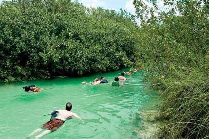 Snorkeling in Sian Ka'an - A Deep Dive into the Experience