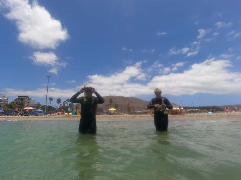 Snorkeling in tenerife south: Discover the underwater world - Key Points