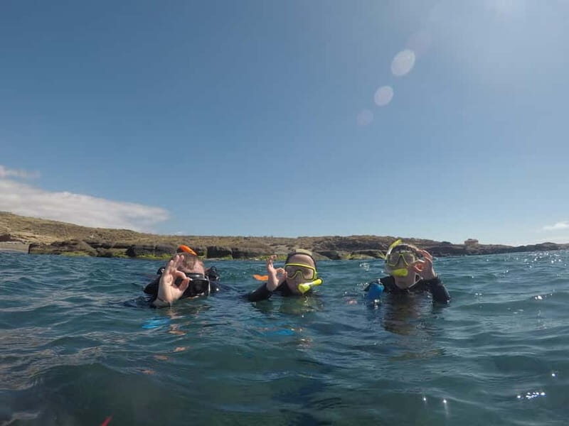 Snorkeling in tenerife south: Discover the underwater world - Practical Details and Tips