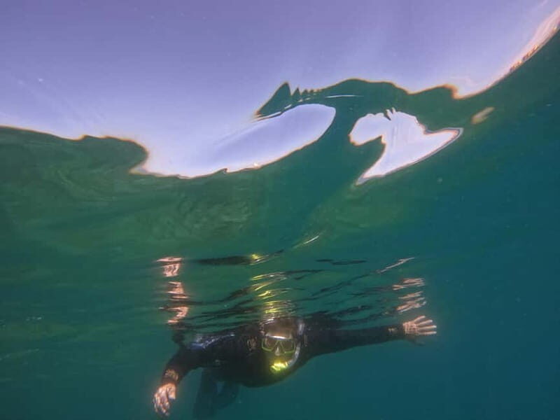 Snorkeling in tenerife south: Discover the underwater world - Final Thoughts