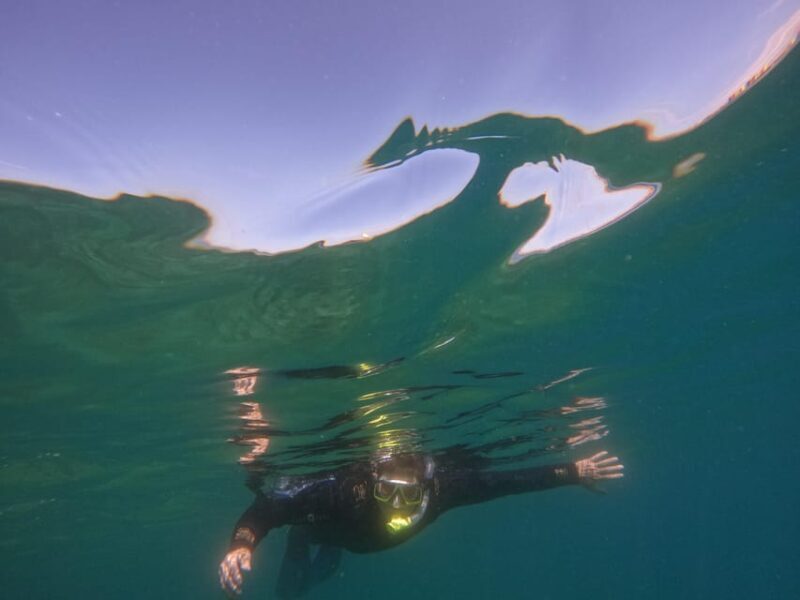 Snorkeling in tenerife south: Discover the underwater world - FAQs