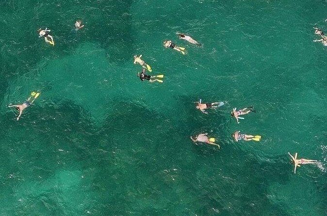 Snorkeling in the Florida Keys - Group Size and Atmosphere