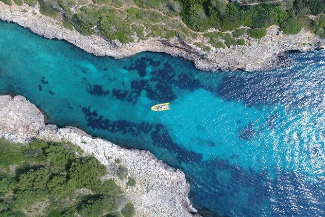 Snorkeling in the Natural Park of Mallorca by boat - Practical Details & Tips