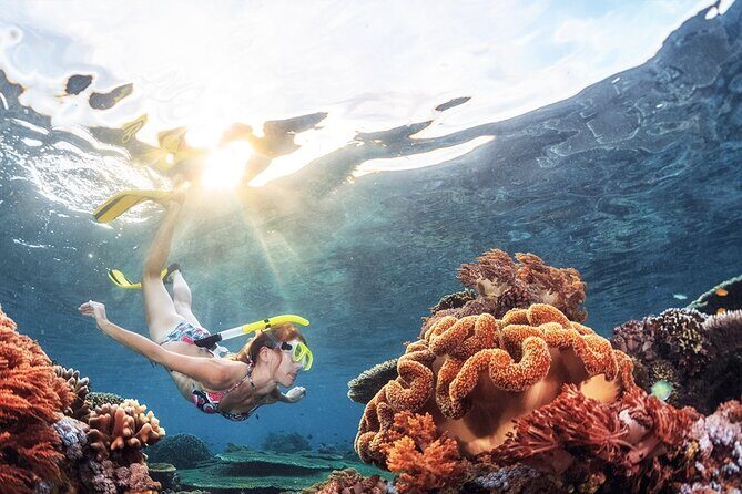 Snorkeling in Trincomalee - Key Points