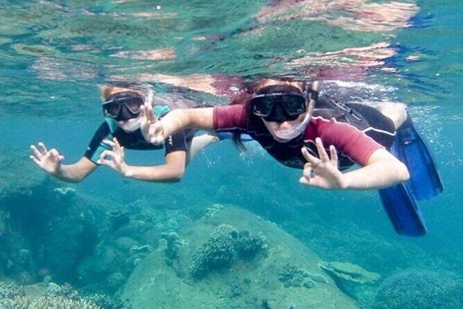 Snorkeling in Trincomalee - Final Thoughts