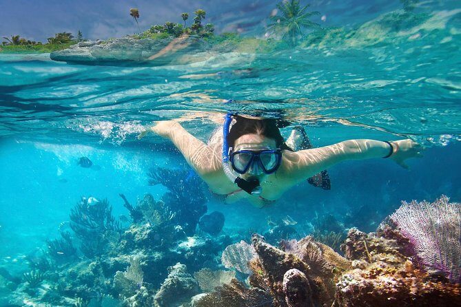 Snorkeling in Unawatuna - What to Expect from the Snorkeling Tour in Unawatuna