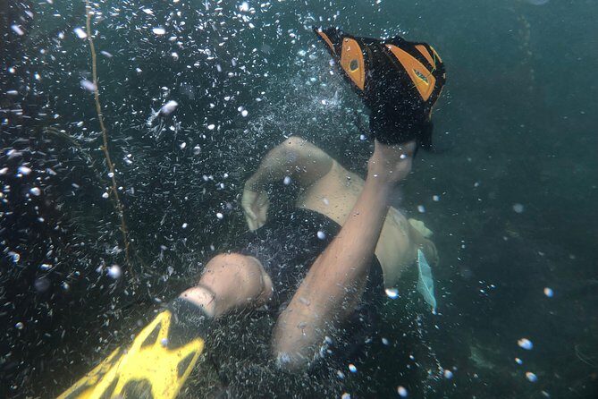 Snorkeling Los Angeles - The Sum Up